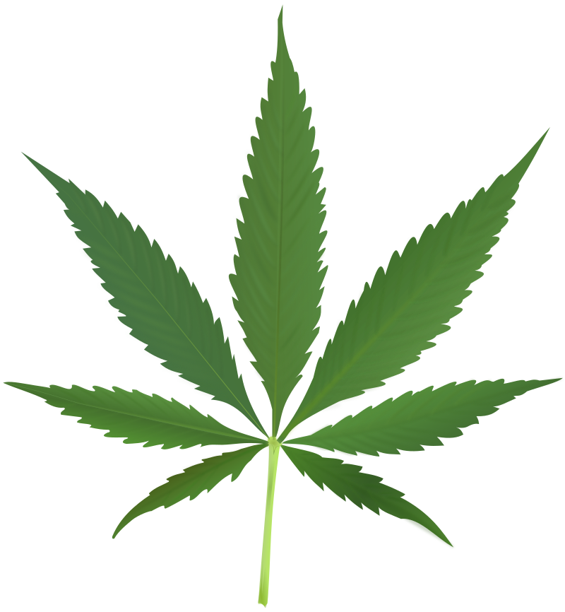 CANNABIS_LEAF