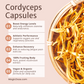 Magic Doze Cordyceps functional mushroom capsules benefits infographic featuring energy, endurance, and recovery support