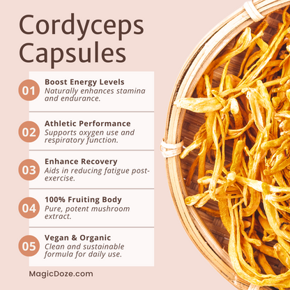 Magic Doze Cordyceps functional mushroom capsules benefits infographic featuring energy, endurance, and recovery support