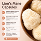 Magic Doze Lion’s Mane functional mushroom capsules benefits infographic featuring focus, memory, and cognitive support