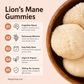 Magic Doze Lion’s Mane functional mushroom gummies benefits infographic featuring cognitive support and daily wellness routines