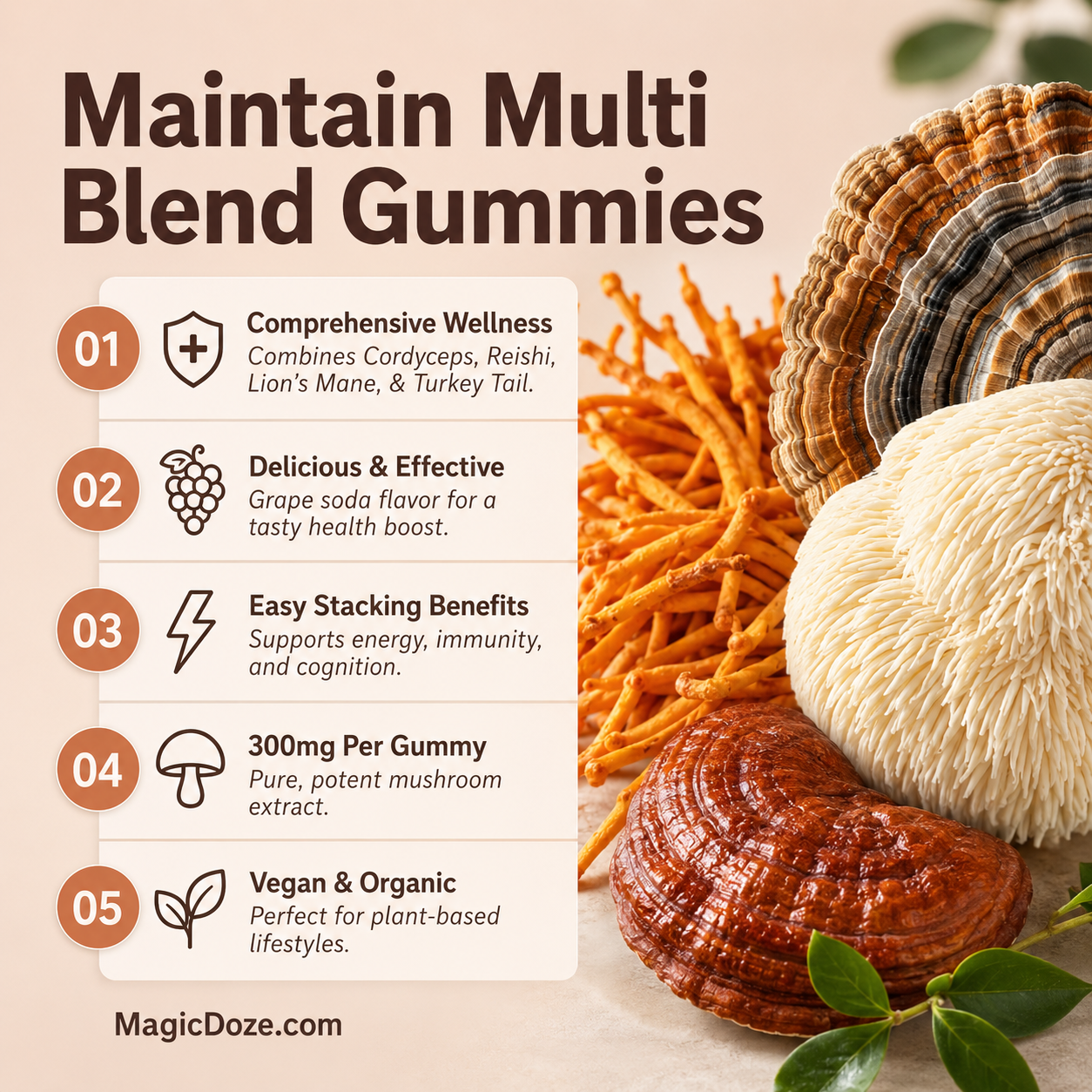 Magic Doze Maintain multi-blend functional mushroom gummies infographic featuring Cordyceps, Reishi, Lion’s Mane, and Turkey Tail mushrooms