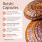 Magic Doze Reishi functional mushroom capsules benefits infographic featuring relaxation, immune support, and sleep support