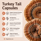 Magic Doze Turkey Tail mushroom capsules benefits infographic featuring fruiting body functional mushrooms